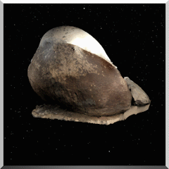 Giant Rock UFO Airport animated gif