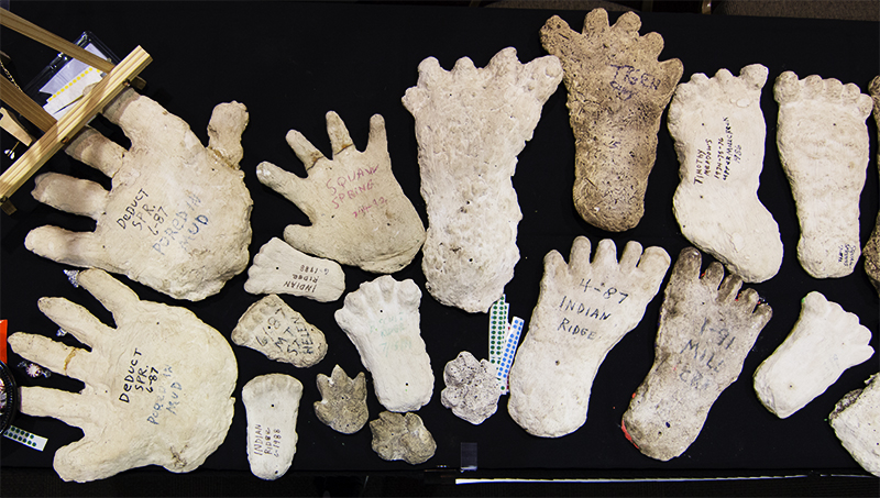 plaster casts of Bigfoot footprints